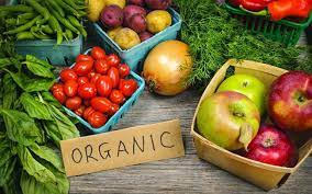 TCVN 11041 - Thúc đẩy phát triển nông nghiệp hưu cơ bền vững